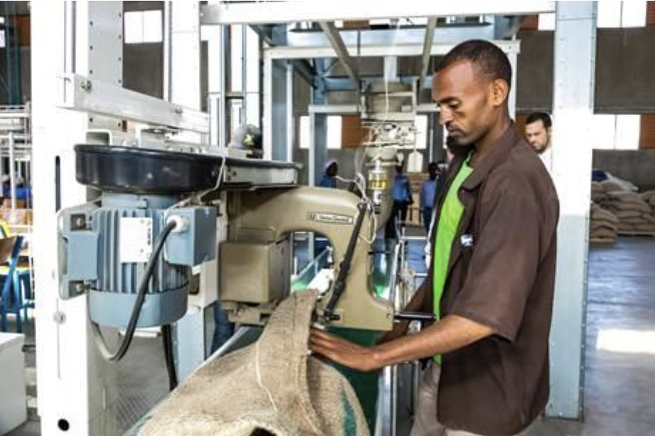 MML referral partners offer skills development and entrepreneurial support across Afghanistan and Ethiopia
