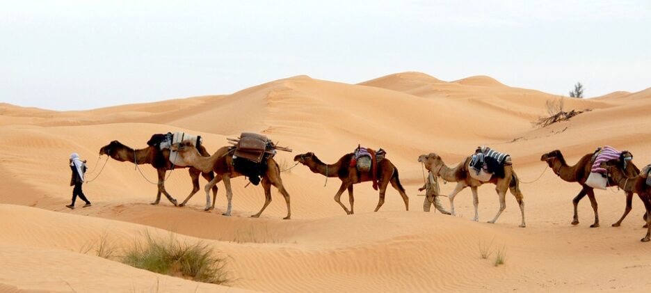 tunisia, desert, caravan-733613.jpg